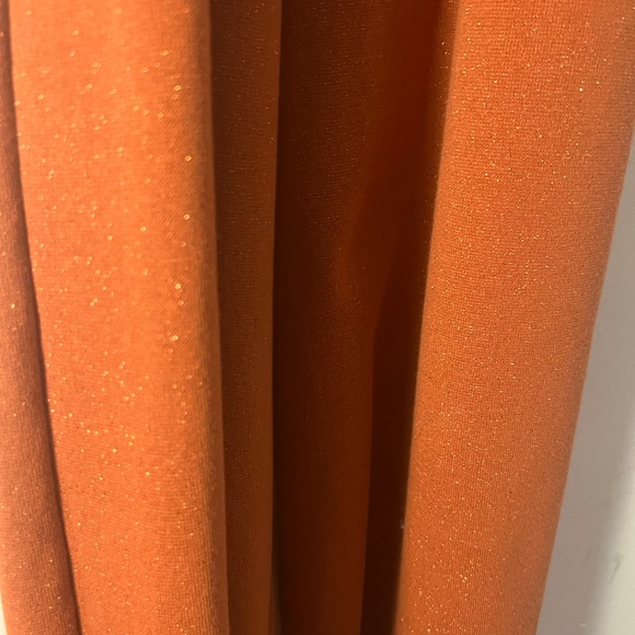 Raspberry Plum - Picture 6 of 9